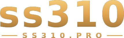ss310 logotipo